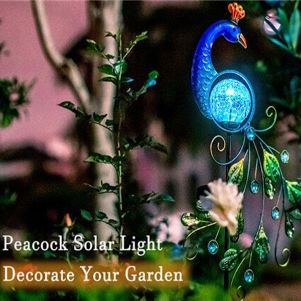 peacock solar light 4