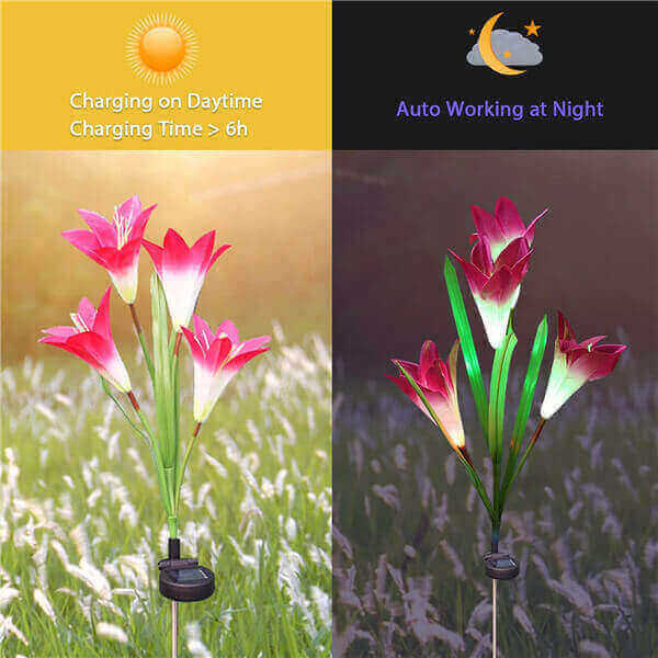 Solar lily flower lights 4