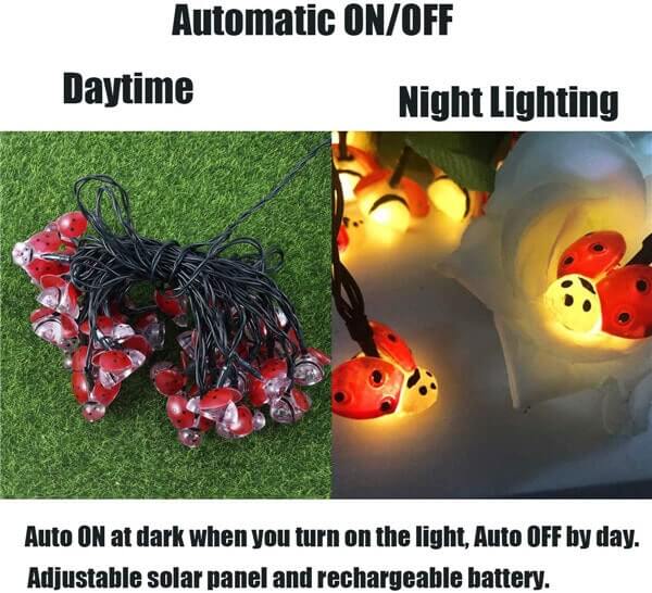 Solar ladybug lights 9