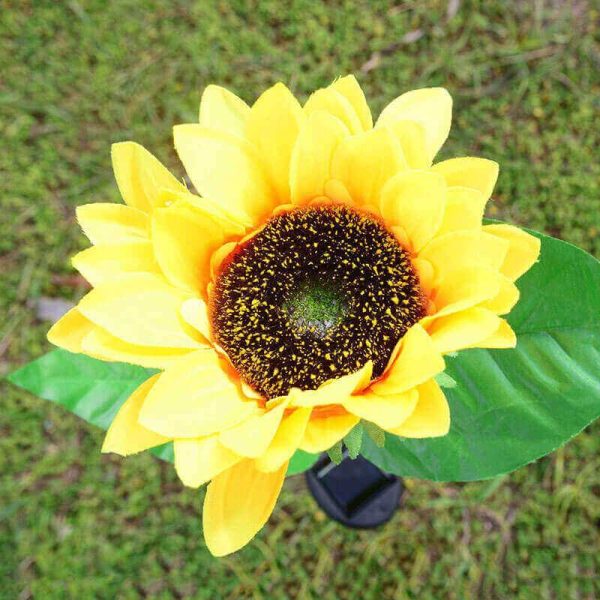 solar sunflower lights 5